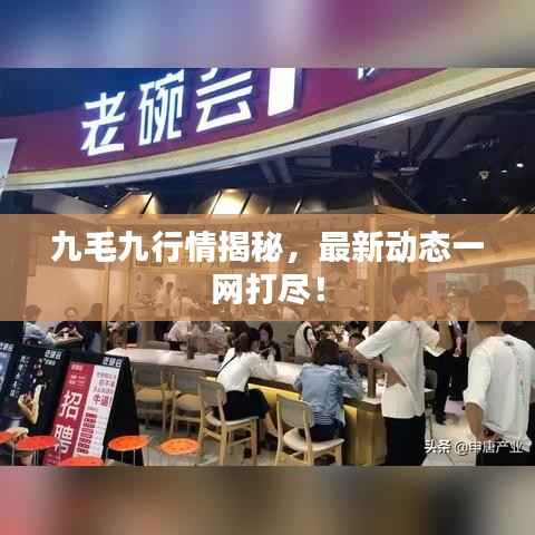 九毛九行情揭秘,最新动态一网打尽!