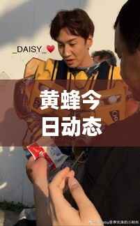 黄蜂今日动态,最新消息与图片专报