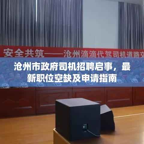 沧州市政府司机招聘启事，最新职位空缺及申请指南