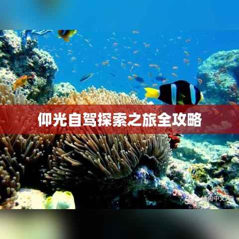 仰光自驾探索之旅全攻略