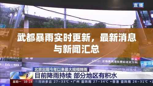 武都暴雨实时更新，最新消息与新闻汇总