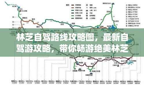 飞扬拨扈 第4页