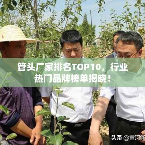 管头厂家排名TOP10，行业热门品牌榜单揭晓！