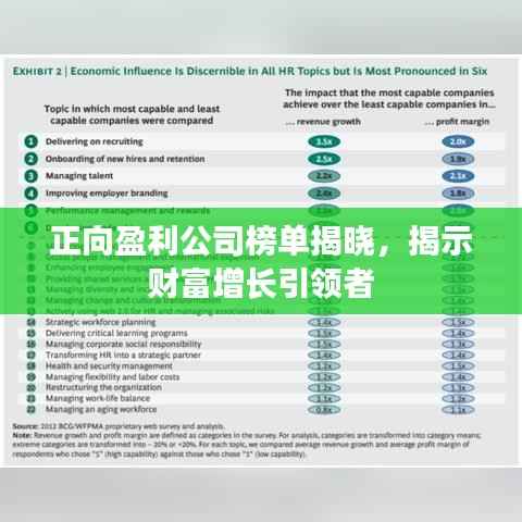 正向盈利公司榜单揭晓,揭示财富增长引领者
