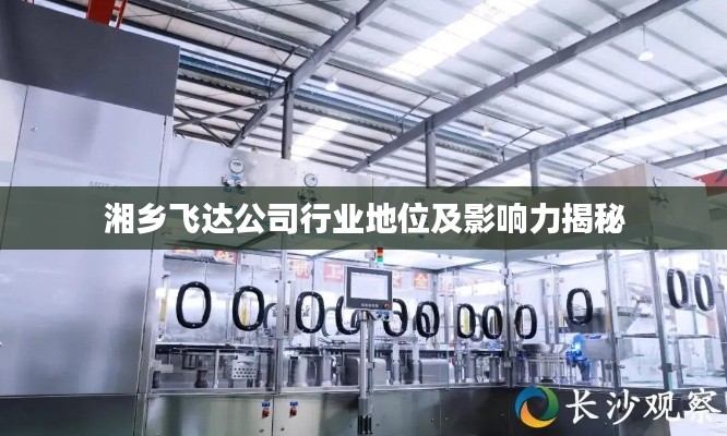 湘乡飞达公司行业地位及影响力揭秘