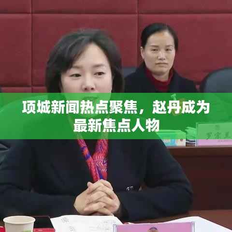 项城新闻热点聚焦，赵丹成为最新焦点人物