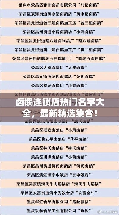 卤鹅连锁店热门名字大全，最新精选集合！