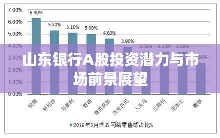 山东银行A股投资潜力与市场前景展望