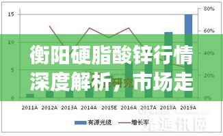 衡阳硬脂酸锌行情深度解析,市场走势与专业解读