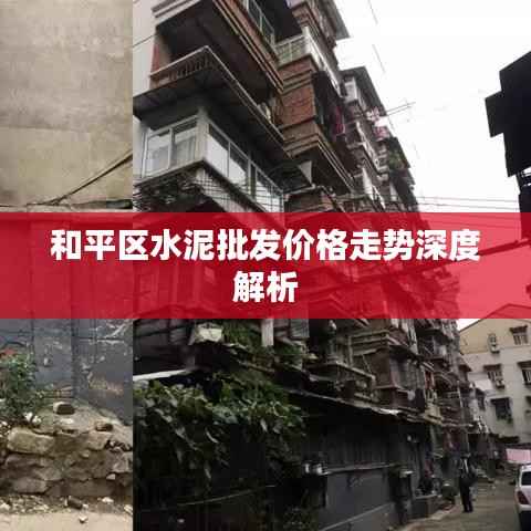 和平区水泥批发价格走势深度解析