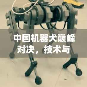 中国机器犬巅峰对决,技术与智能的终极较量