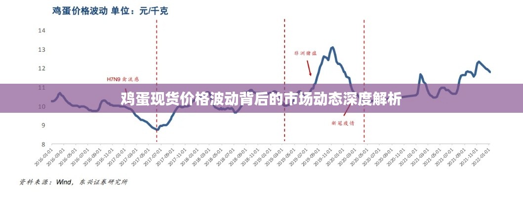 鸡蛋现货价格波动背后的市场动态深度解析