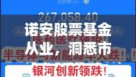 诺安股票基金从业，洞悉市场脉动，精准把握投资机遇