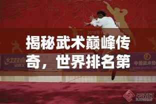 揭秘武术巅峰传奇，世界排名第一武术大师探秘！