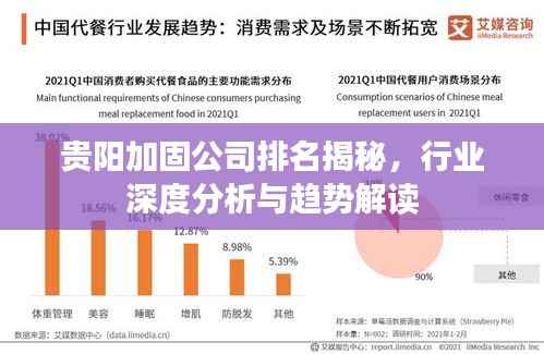 贵阳加固公司排名揭秘，行业深度分析与趋势解读