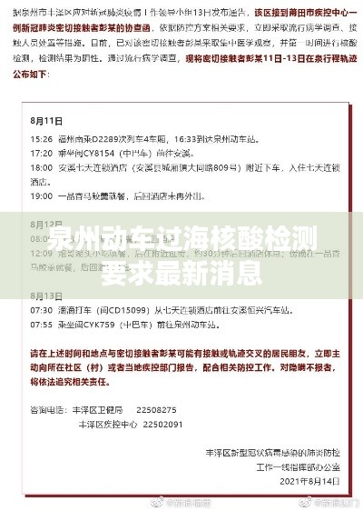 泉州动车过海核酸检测要求最新消息
