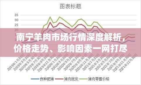 南宁羊肉市场行情深度解析,价格走势、影响因素一网打尽!
