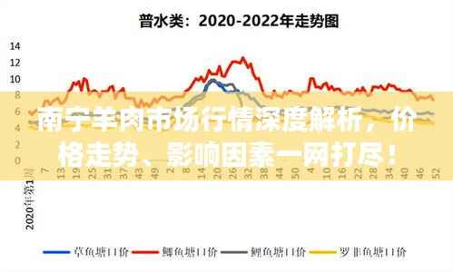 南宁羊肉市场行情深度解析,价格走势、影响因素一网打尽!