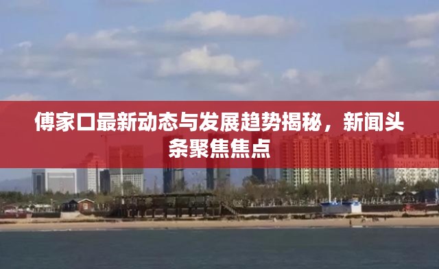 傅家口最新动态与发展趋势揭秘,新闻头条聚焦焦点