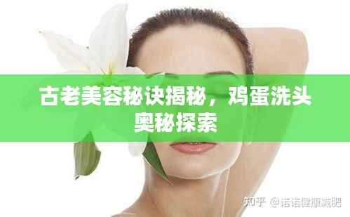 古老美容秘诀揭秘，鸡蛋洗头奥秘探索