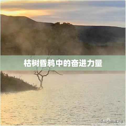 枯树昏鸦中的奋进力量