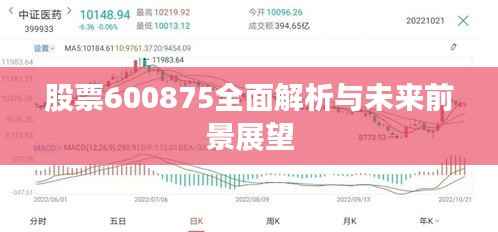 股票600875全面解析与未来前景展望