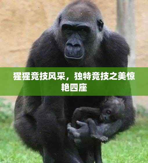 猩猩竞技风采,独特竞技之美惊艳四座