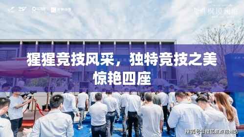 猩猩竞技风采,独特竞技之美惊艳四座