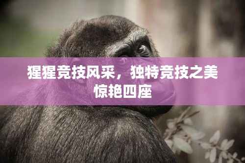 猩猩竞技风采,独特竞技之美惊艳四座