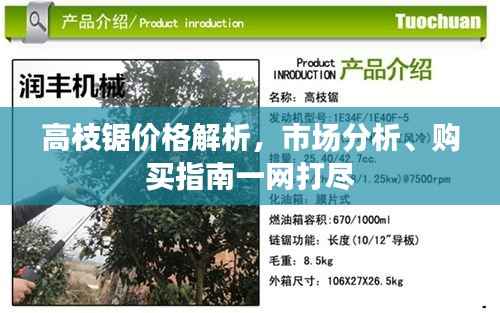 高枝锯价格解析，市场分析、购买指南一网打尽