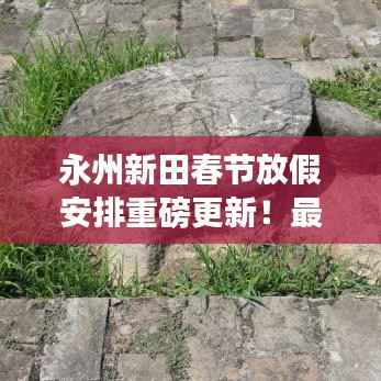 永州新田春节放假安排重磅更新！最新放假通知抢先看！