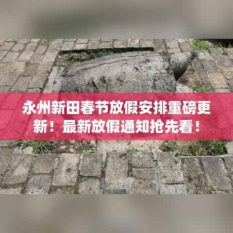 永州新田春节放假安排重磅更新!最新放假通知抢先看!