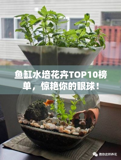 炙手可热 第4页