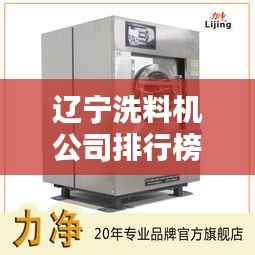 辽宁洗料机公司排行榜揭晓，行业领先的几家企业！