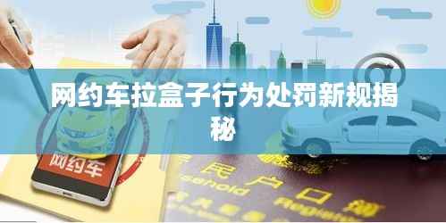 网约车拉盒子行为处罚新规揭秘