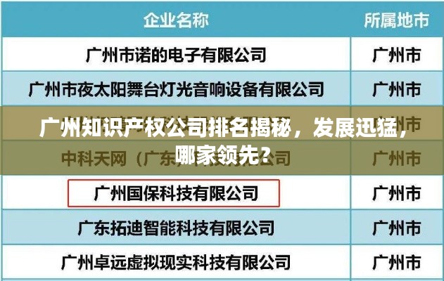 广州知识产权公司排名揭秘，发展迅猛，哪家领先？
