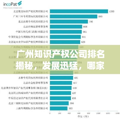 广州知识产权公司排名揭秘,发展迅猛,哪家领先?