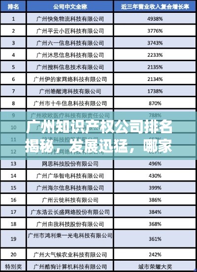 广州知识产权公司排名揭秘,发展迅猛,哪家领先?