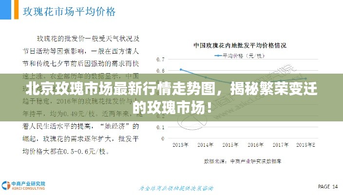 北京玫瑰市场最新行情走势图，揭秘繁荣变迁的玫瑰市场！