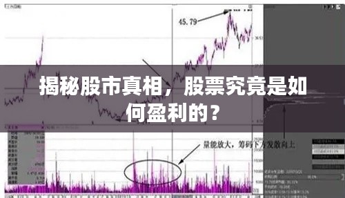 揭秘股市真相，股票究竟是如何盈利的？