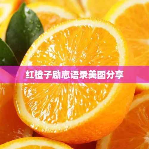 红橙子励志语录美图分享