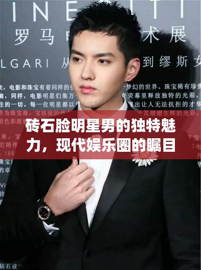 砖石脸明星男的独特魅力，现代娱乐圈的瞩目焦点探究