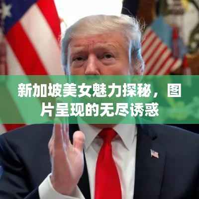 新加坡美女魅力探秘,图片呈现的无尽诱惑