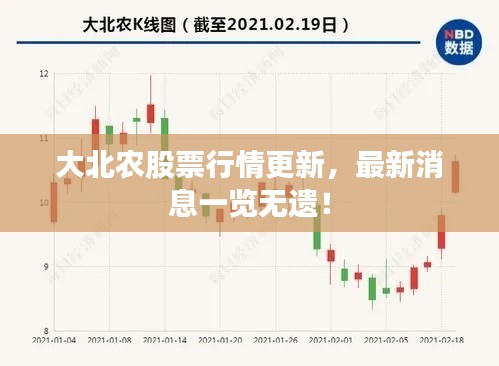 大北农股票行情更新,最新消息一览无遗!