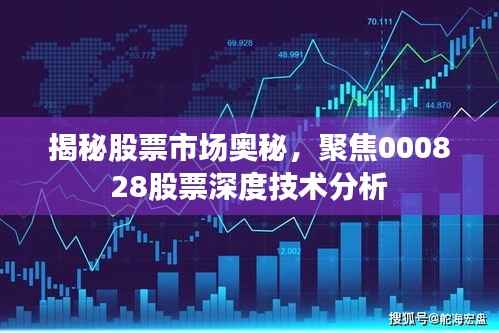 揭秘股票市场奥秘,聚焦000828股票深度技术分析