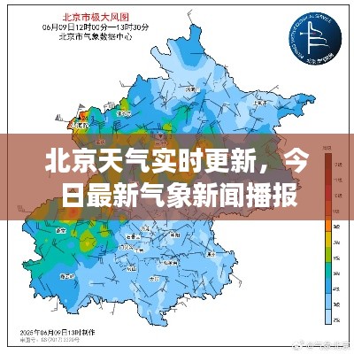 虫言鸟迹 第4页