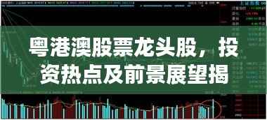 粤港澳股票龙头股,投资热点及前景展望揭秘