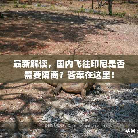 最新解读，国内飞往印尼是否需要隔离？答案在这里！