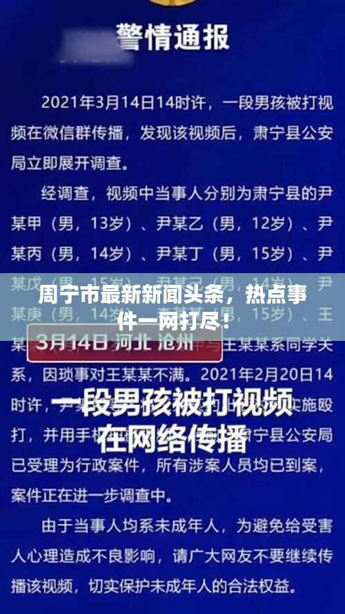 周宁市最新新闻头条,热点事件一网打尽!