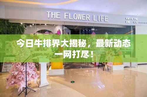 今日牛排界大揭秘,最新动态一网打尽!